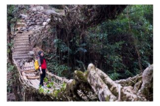 Solo woman traveller standing on a living root bridge during the Meghalaya trek near Nongriat, surrounded by lush jungle — Jugni Travel women-only group experience.