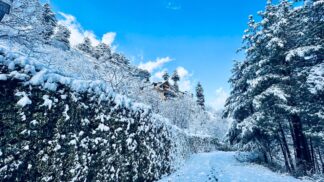 NEW YEAR TRAILS - BAGA SARAHAN